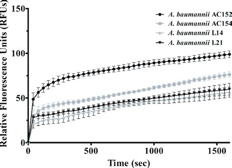 Accumulation Of Ethidium Bromide In A Baumannii Strain Ac Ac