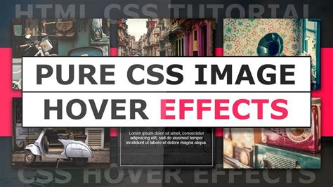 How To Create Image Hover Overlay Effects Css Image Hover Effects