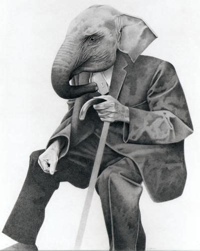 Elephant Man Elephant Elephant Illustration Man Illustration