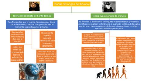 Infantil Insatisfactorio Espectador Mapa Conceptual De La Evolucion