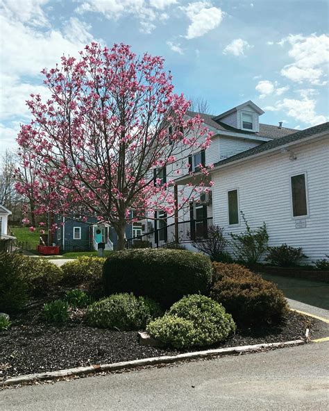 New updates for Demont family funeral home & cremation service windsor obituaries 22