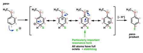 Understanding Ortho Para And Meta Directors Master Organic Chemistry