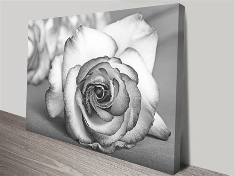 Black and White Rose Artwork on Canvas