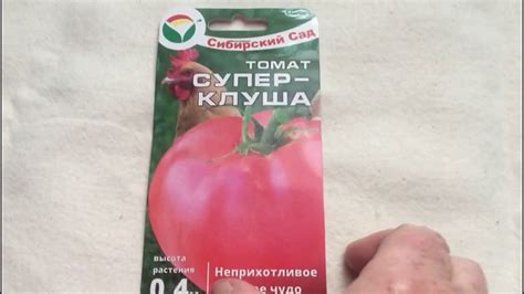 Томат - курица Супер - клуша!! Удивительный сорт со смешным названием ...