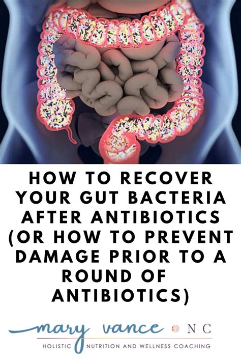 How to Restore Gut Bacteria After Antibiotics Naturally