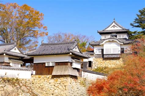 日本旅遊TXG楓情四國魔女小豆島大步危遊船松山城纜車戀戀雙享溫泉五日 高松包機 KKday