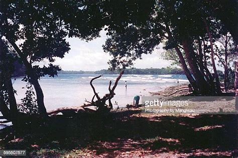 Papua New Guinea Fishing Imagens E Fotografias De Stock Getty Images