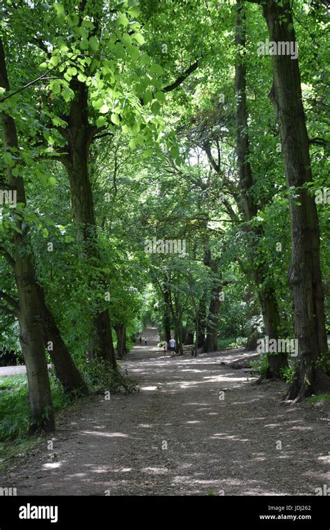 Hampstead Heath London Uk Stock Photo Alamy