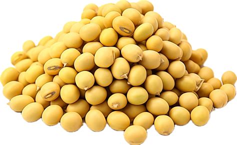 Soybeans Png With Ai Generated Png