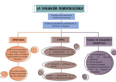 Diagrama Sobre La Evaluaci N Neuropsicol Gica Importancia Etapas