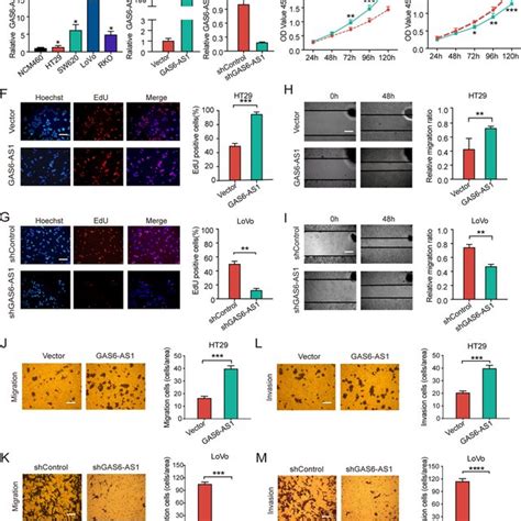 Gas As Promotes The Proliferation Migration And Invasion Of Crc