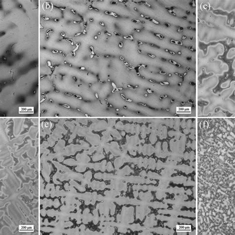 Optical Micrographs Of The Typical As Cast Alloy Microstructure At Download Scientific Diagram