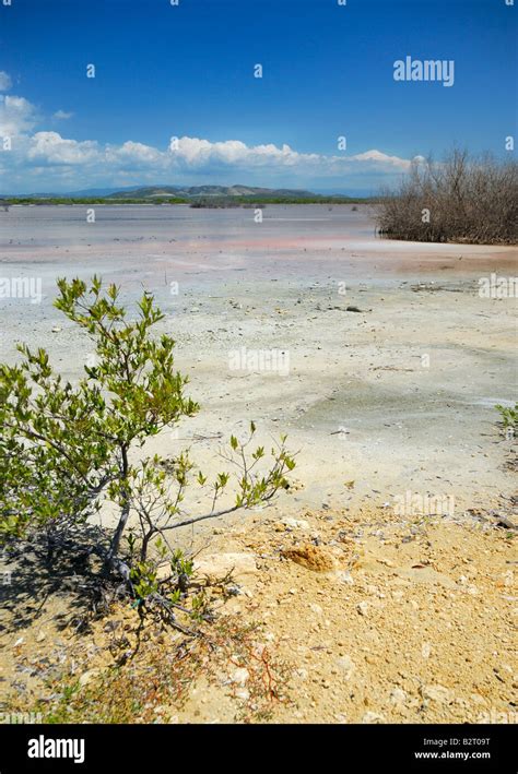 Las Salinas De Cabo Rojo Fotos E Imágenes De Stock Alamy