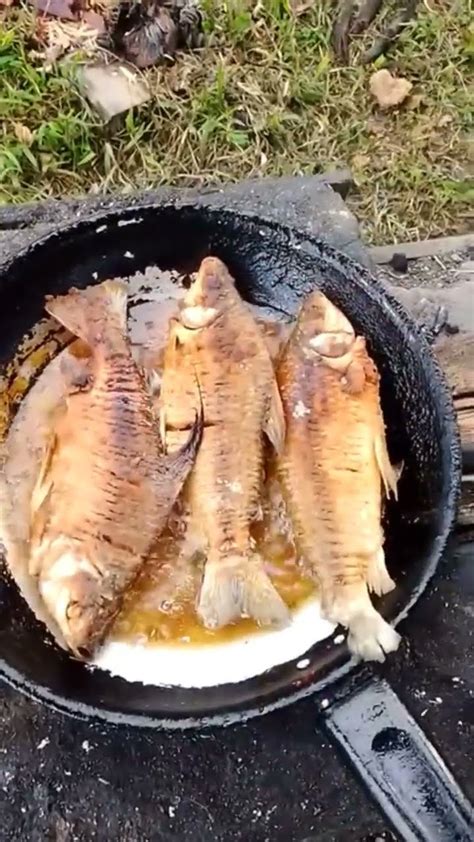 Peixe Frito YouTube