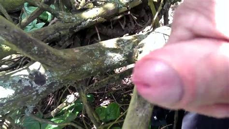 Wank In The Woods Xhamster