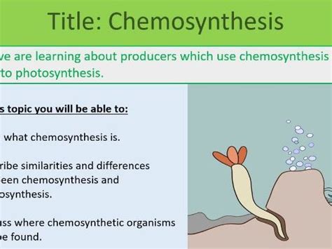 Chemosynthesis Ks Year Teaching Resources