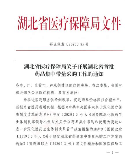 华招医药网 2020年湖北省医疗保障局关于开展湖北省首批药品集中带量采购工作的通知