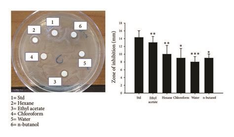 Antibacterial Activity Against Pseudomonas Aeruginosa Pseudomonas