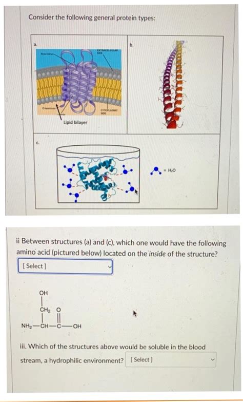 Answered Ii Between Structures A And C  Bartleby