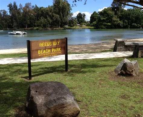 What should be done to revitalize Hilo’s historic Banyan Drive? Poll
