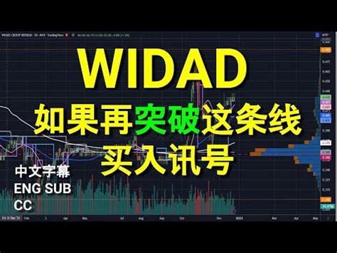 WIDAD 如果再突破这条线买入讯号 中英文字幕 ENG SUB CC YT 会员问股福利 盘后筹码峰技术分析 26122022