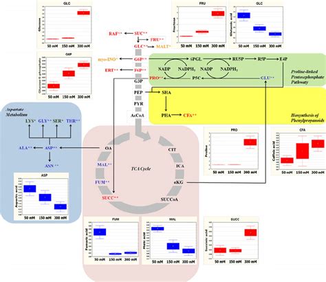 Schematic Diagram Of The Proposed Metabolic Pathway Of M Officinalis