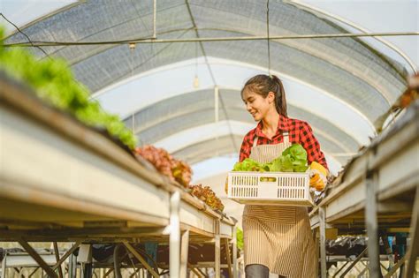 Green Career Paths And Education Paving The Way For A Sustainable Future