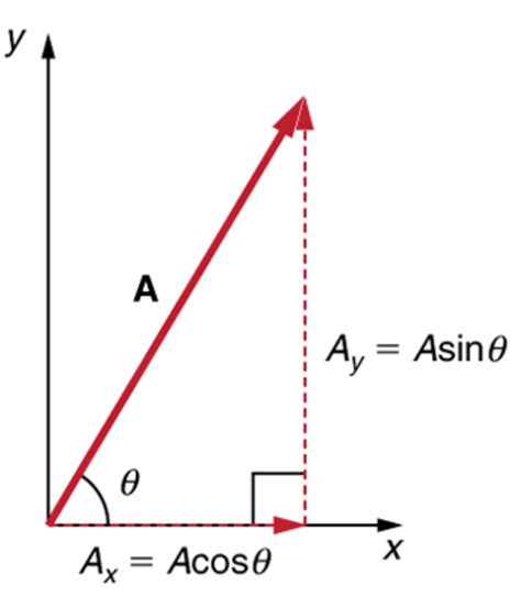 Define Components Of Vector