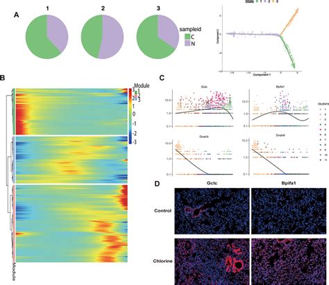 Pseudo Time Analysis Of Epithelial Cells A Cell Trajectories On Download Scientific Diagram