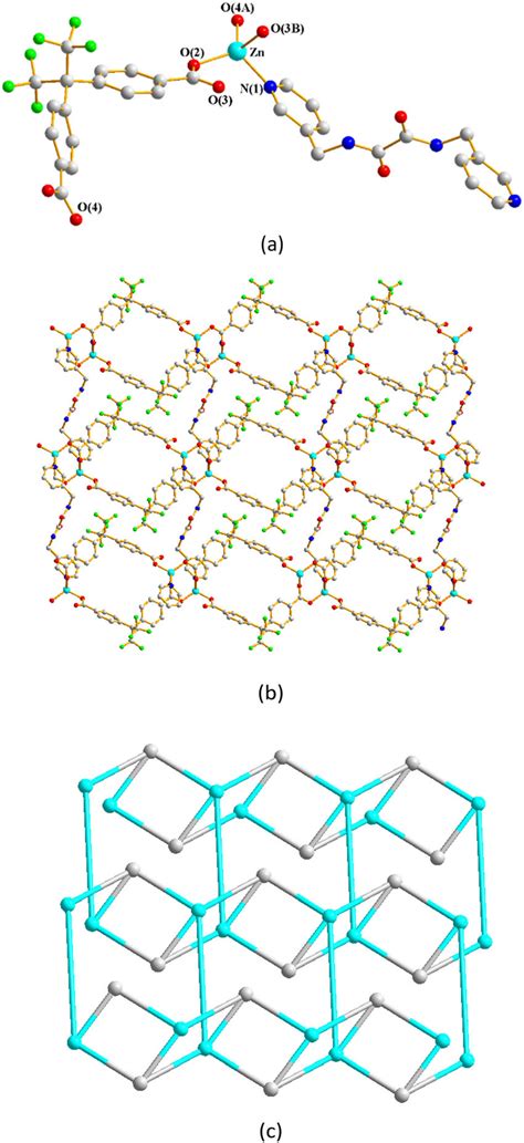 A Coordination Environment About The Zn Ii Ion For Symmetry