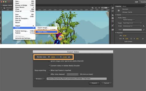 Custom Export Options In Animate Adobe Animate Tutorials