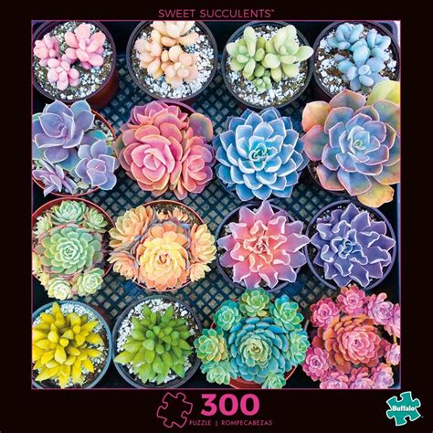 Photography Sweet Succulents 300 Large Piece Jigsaw Puzzle Succulents