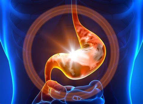 Como Quitar El Dolor De Gastritis Con Remedios Caseros