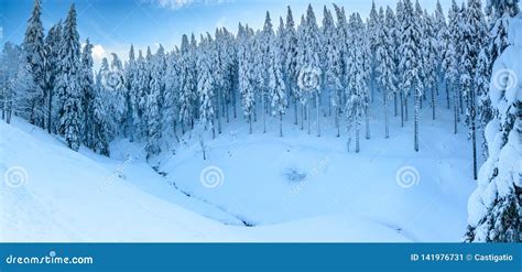 Polish Winter Landscape in the Mountains, Snowy Trees and Roads Stock Image - Image of valley ...