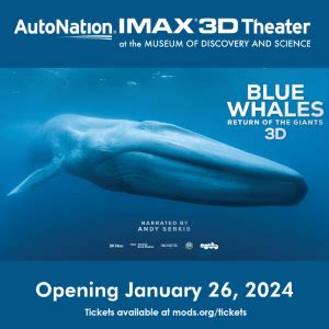 Blue Whales Return Of The Giants Premieres At The AutoNation IMAX 3D