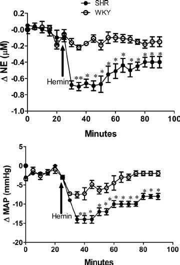 Time Course Changes In Rvlm Ne Top And Map Bottom In Response To