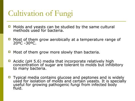 Fungi Molds And Yeasts Ppt