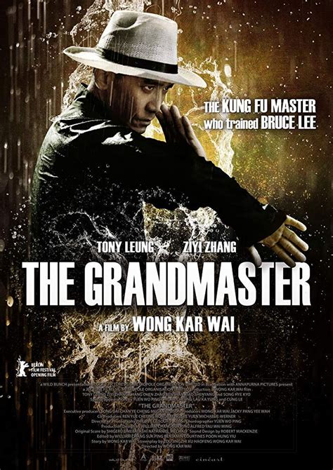 The Grandmaster Movie Review Martial Journal