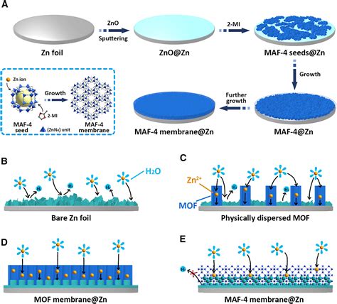 Mof Polycrystalline Membrane On Zinc Metal Anode Through Liquid Phase