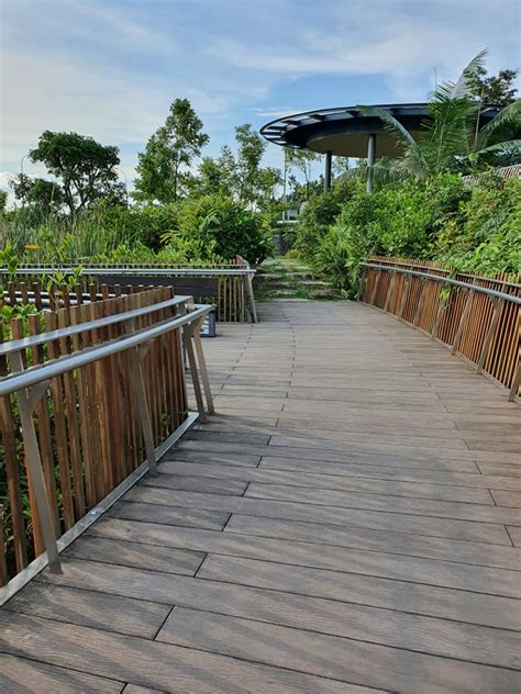 Yishun Dam: This Sunset Dating Spot In The North Is A Secret Favourite ...