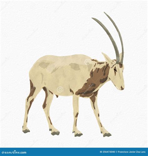 Illustrated Oryx Walking With Watercolor Texture Stock Illustration