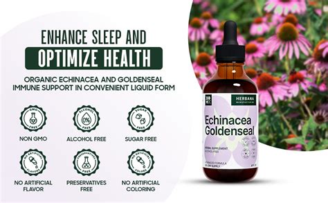 Amazon Echinacea And Goldenseal Fl Oz Liquid Extract Natural