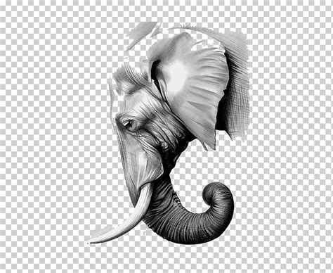 Descarga Gratis Ilustración Del Elefante El Papel Del Elefante Elefante Asiático Grafito