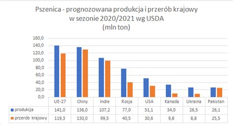 Produkcja Pszenicy 2020 2021