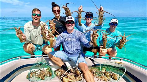 First Lobster Trip Of Delicious Fried Spiny Lobster Catch Clean