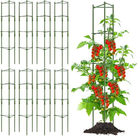 Amazon Hicarer 8 Pcs Tomato Cages For Garden Up To 65 Plant