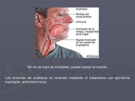 INDICES TOXICOLÓGICOS ppt descargar