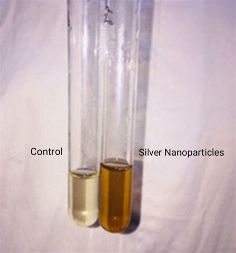 Colour Change In The Extract And Silver Nitrate Solution After