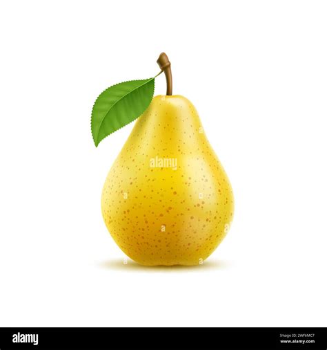 Raw Realistic Yellow Pear Fruit Ripe Whole Isolated 3d Vector Plant