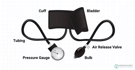 How To Use Bp Apparatus Manual